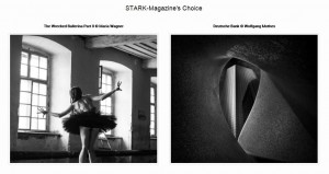 Stark Magazine2